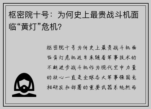 枢密院十号：为何史上最贵战斗机面临“黄灯”危机？